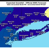 <p>These are the earlier snowfall projections released Sunday morning by the National Weather Service.</p>