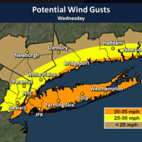 <p>A look at anticipated potential wind gusts.</p>