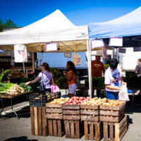 <p>The Nyack Farmers Market, opens outdoors on Thursday, April 5 and operates every Thursday though November.</p>