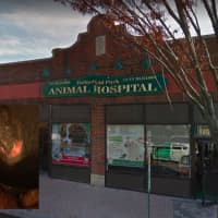 <p>Another dog is being treated for burns suffered during surgery at the Ridgefield Park Animal Hospital.</p>