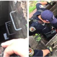 <p>Police locate the stranded kitten crying for help.</p>