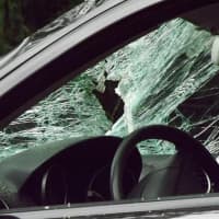 <p>The driver was the only occupant in the Mercedes when the tree limb hit it.</p>
