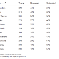 <p>Politico released recent public-opinion polling results pitting President Trump against 11 potential Democratic challengers in the 2020 presidential race including three from New York.</p>