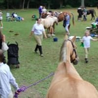 <p>Preparing the horses during a past annual sports show sponsored by the Peekskill Rotary Club. This year&#x27;s show is Sept. 29-30 at Blue Mountain Reservation.</p>