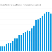 <p>A chart showing the steady rise in birthright citizenship since 1980 to unauthorized immigrants in the United States. Annual totals have declined since a peak in 2007.</p>