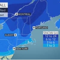 <p>A look at projected snowfall totals for the storm by AccuWeather.com.</p>