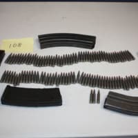 <p>A truck driver from Florida was busted with an illegal assault rifle, 9mm handgun and several high-capacity magazines.</p>