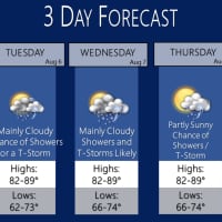 <p>A look at the stormy stretch forecast for Tuesday, Aug. 6 through Thursday, Aug. 8.</p>