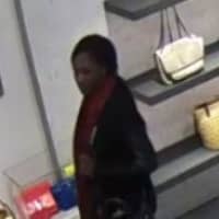 <p>Two women are wanted for stealing a designer purse from the Walt Whitman Shops on Long Island.</p>
