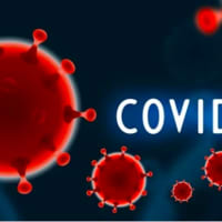 <p>The novel strain of the coronavirus (COVID-19).</p>