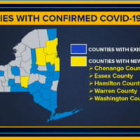 <p>A look at New York counties with confirmed cases.</p>