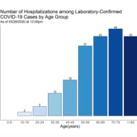 <p>A look at Connecticut COVID-19 hospitalizations by age group.</p>