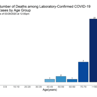 <p>Confirmed Connecticut COVID-19 deaths by age group.</p>