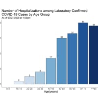 <p>A look at hospitalizations by age group.</p>
