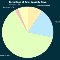 <p>A breakdown of the number of cases in terms of percentage by town in Rockland.</p>