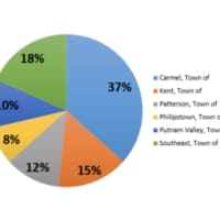 <p>A breakdown of cases by Putnam County town by percentage is shown here.</p>