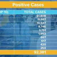 <p>In addition to New York City, the nine counties that have the most positive COVID-19 cases, forming the Top 10 in the state, are shown here.</p>