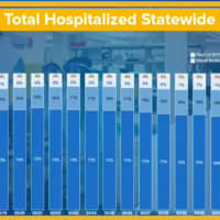<p>A look at hospitalizations rates for the areas in New York most affected by the COVID-19 crisis: New York City (dark blue), Long Island (light blue), Westchester and Rockland counties (white)</p>