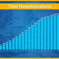 <p>A look at the trend in total hospitalizations in New York.</p>