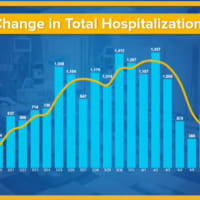 <p>A look at the change in total hospitalizations in New York.</p>