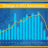 <p>A look at the change in ICU admissions in New York.</p>