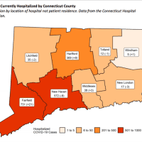 <p>A look at COVID-19 hospitalizations by county.</p>