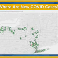 <p>A look at where New York&#x27;s new COVID-19 cases are coming from.</p>