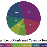<p>The breakdown of COVID-19 cases in Putnam County.</p>