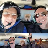 <p>Pumpkin - the last rescue flight of 2019. Home for Christmas.</p>