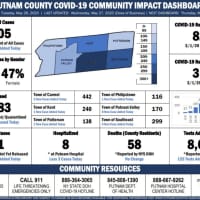 <p>A breakdown of COVID-19 cases in Putnam County.</p>