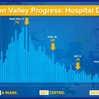 <p>A look at the trend in Hudson Valley COVID hospitalization deaths during the pandemic.</p>