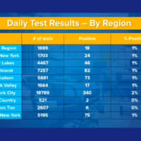<p>A look at daily test results, including percentage positive, for each of New York&#x27;s 10 regions.</p>