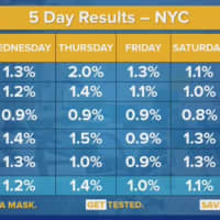 <p>The percentage of positive COVID-19 cases in New York City Boroughs over the past five days.</p>