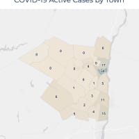 <p>A breakdown of active COVID-19 cases in Ulster County.</p>