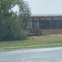 <p>A downed tree outside a Levittown elementary school.</p>