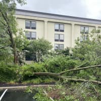<p>Tropical Storm Isaias downed countless trees and power lines in Westchester.</p>