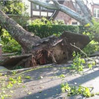 <p>Tornado touchdowns were confirmed in both the Hudson Valley and Connecticut during severe storm activity in the region on Thursday, Aug. 27.</p>