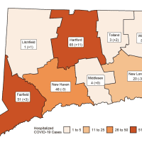 <p>The breakdown of COVID-19 hospitalizations in Connecticut as of Monday, Oct. 19.</p>