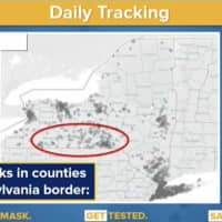 <p>There has been a rise in COVID-19 cases in New York along the Pennsylvania border.</p>