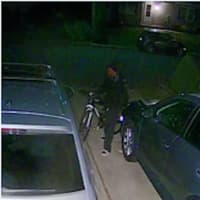 <p>Surveillance footage of the theft</p>