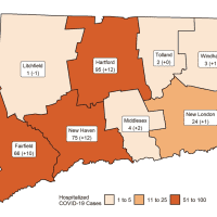 <p>A breakdown of COVID-19 hospitalizations in Connecticut as of Monday, Oct. 26.</p>