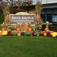 <p>Riley Avenue Elementary School</p>