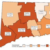<p>The breakdown of COVID-19 hospitalizations in Connecticut as of Monday, Nov. 9.</p>
