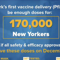 <p>The first batch of the Pfizer COIVD-19 vaccine will come to New York later this month.</p>