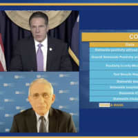 <p>Dr. Anthony Fauci was a guest via video during Gov. Andrew Cuomo&#x27;s latest COVID-19 briefing.</p>