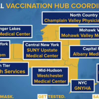 <p>The hospital systems that will be tasked with running the state&#x27;s regional vaccination hubs.</p>