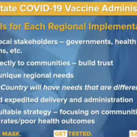 <p>The COVID-19 vaccination plan in New York.</p>