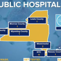 <p>The number of public hospitals across New York.</p>