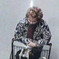 <p>The woman pictured above was caught on surveillance footage shoplifting the items from Wegmans in Hanover Township on Sunday, Colonial Regional Police said.</p>