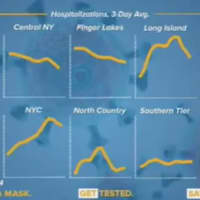 <p>Each region in New York has seen a drop in overall COVID-19 hospitalization rate.</p>